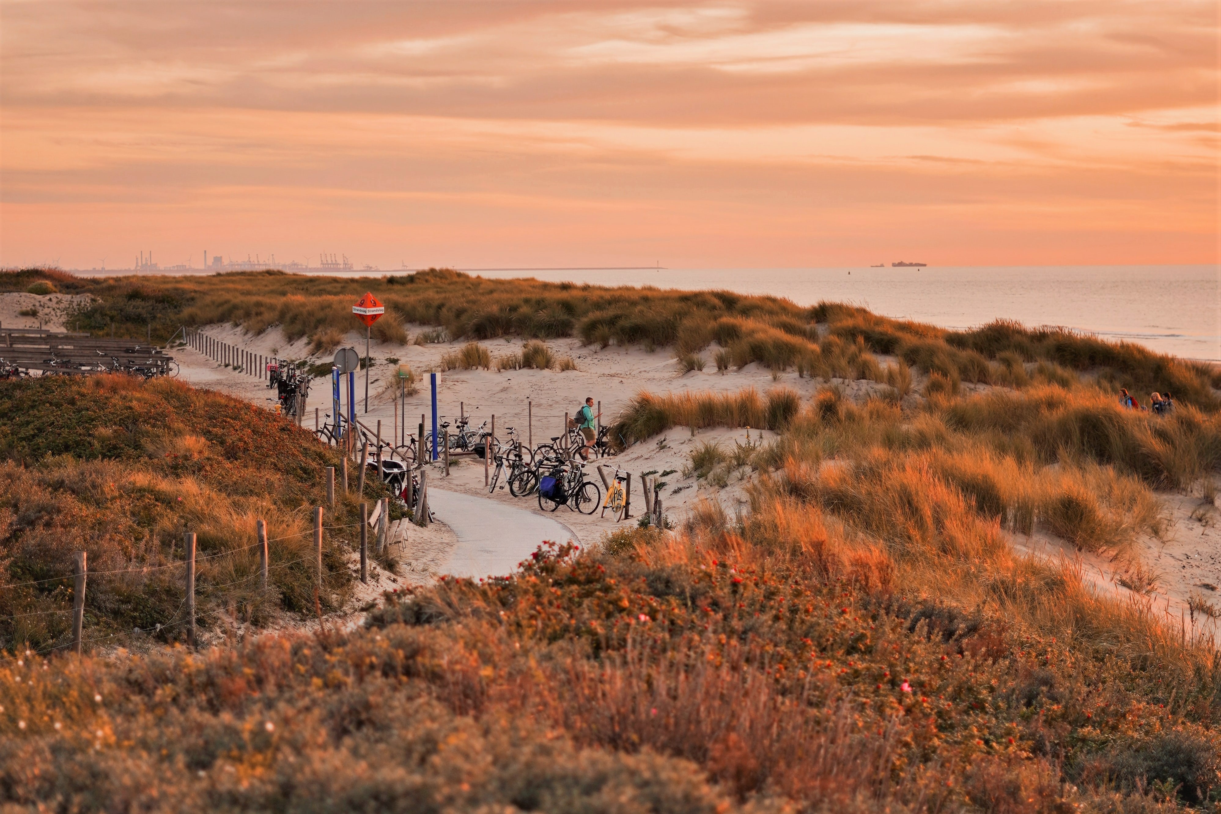 Carefully Designed, Uncluttered Serviced Apartments in The Hague | Cove