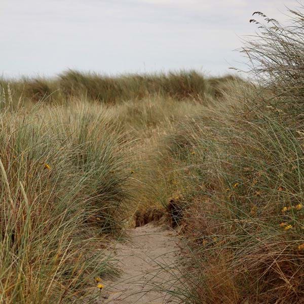 Exploring Dublin’s coastal gems.