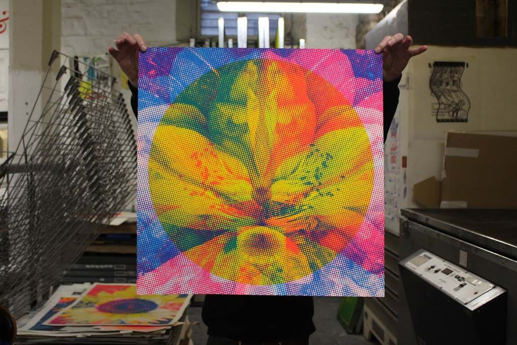 <p>'Lotus'.</p>