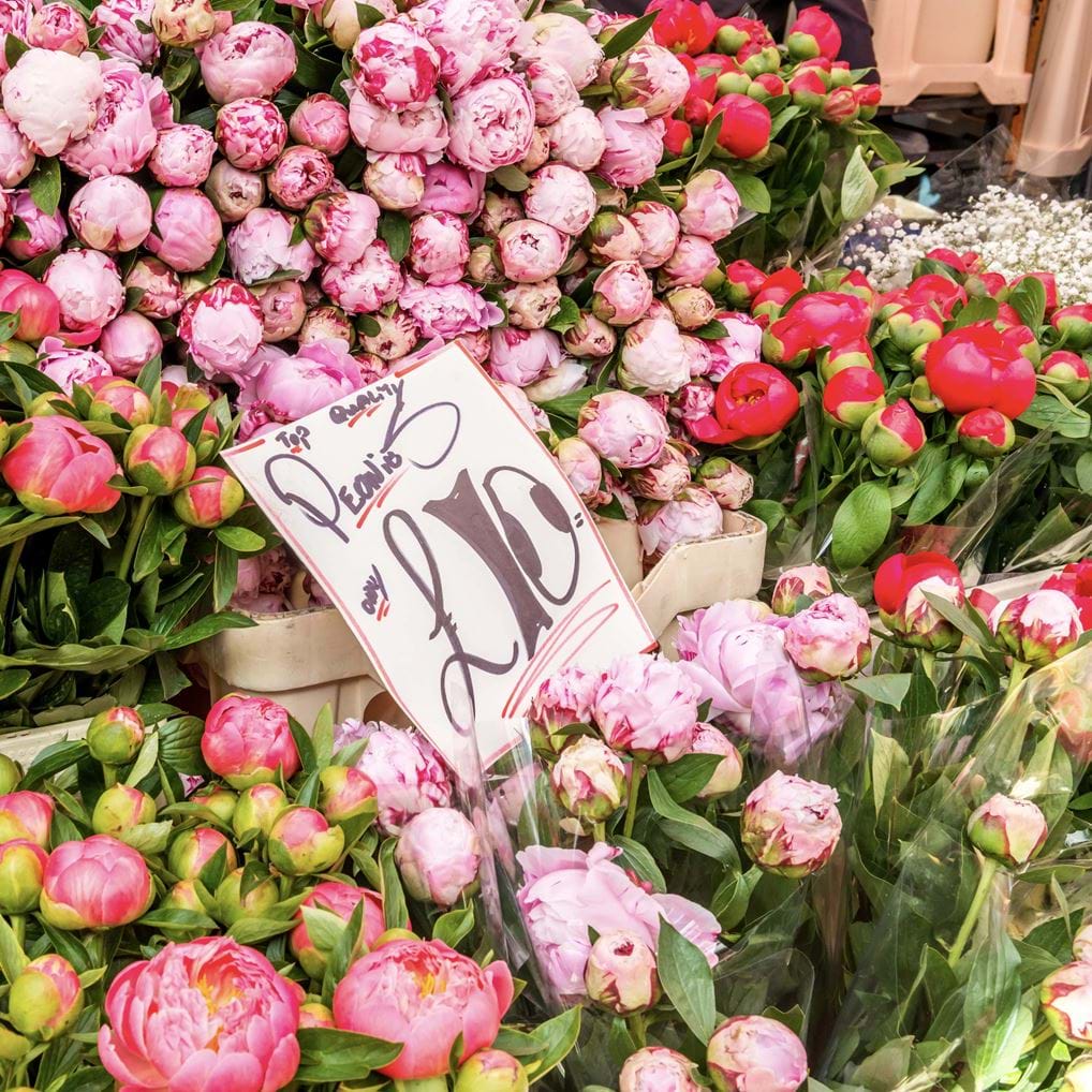 <p>Columbia Road Flower Market, Bethnal Green</p>