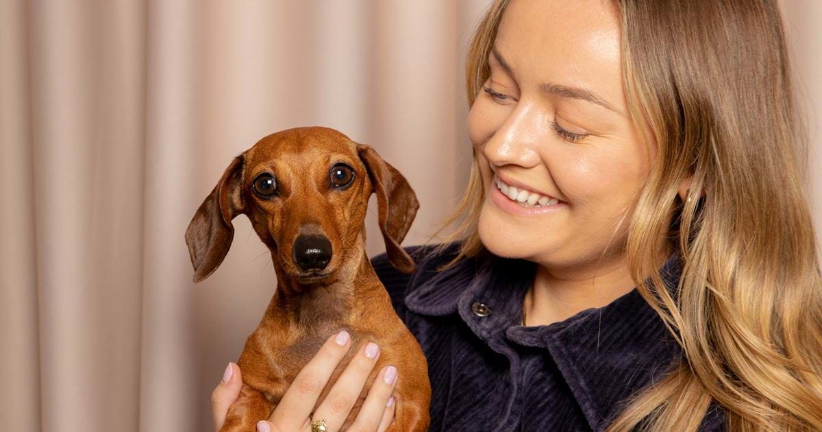 A Dog Friendly Guide To London | Locke A Dog Friendly Guide To London | Locke