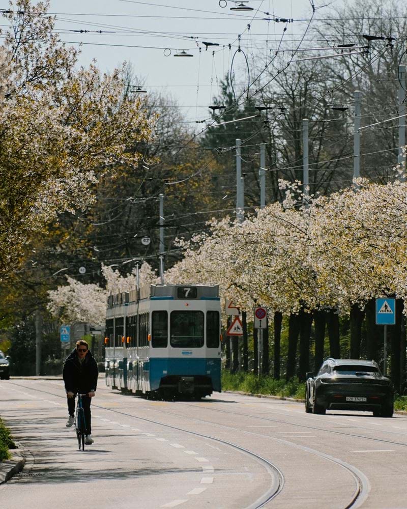 Zurich Spring Zurich Spring Blossoms | Locke