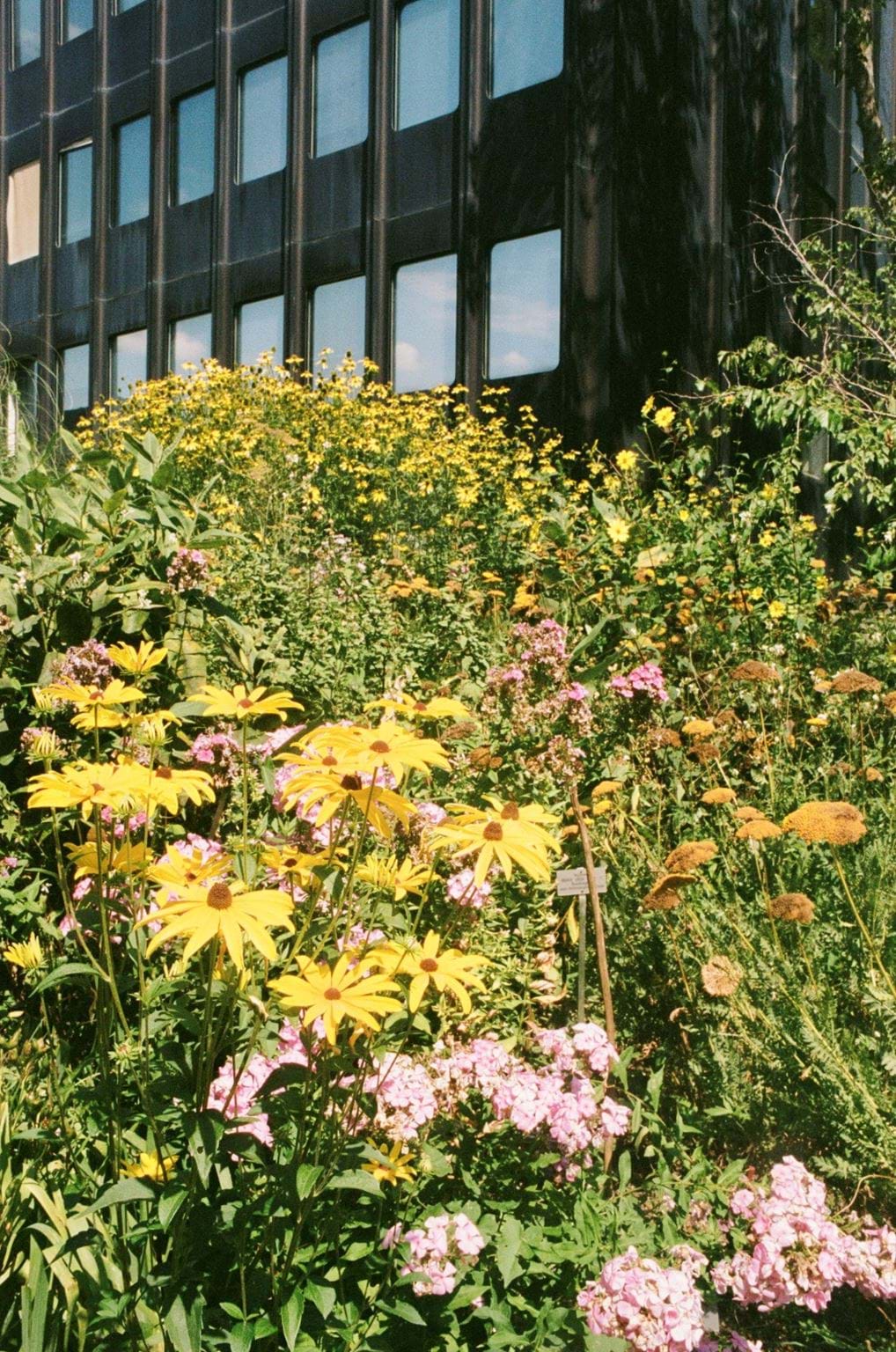 <p>Botanischer Garten der Universität Zürich</p>