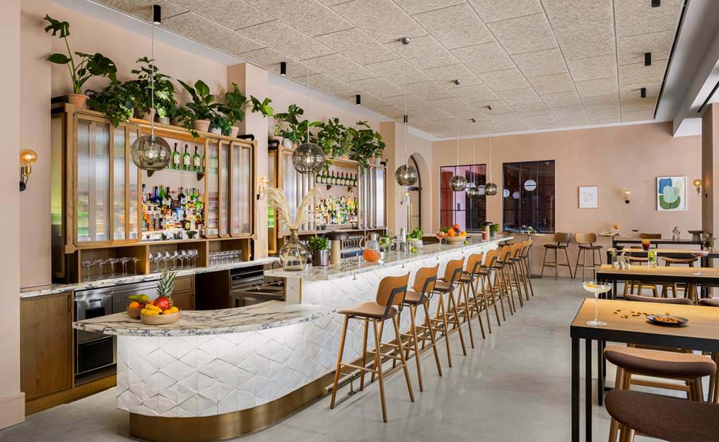 Our Restaurants & Bars