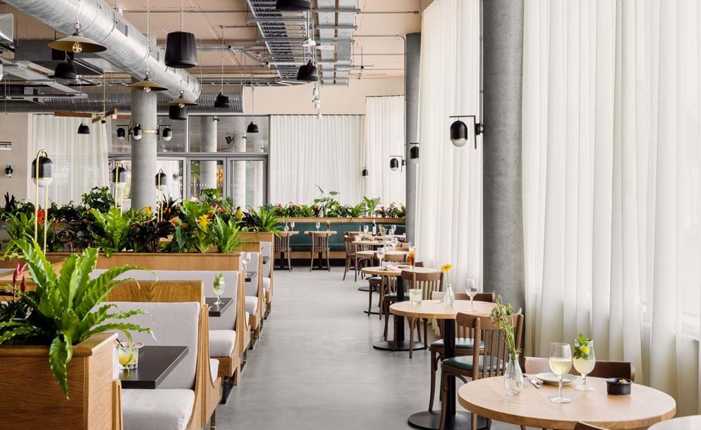 The Astronomer x Turing Locke.