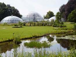 Jardin botanique, Zurich, Suisse