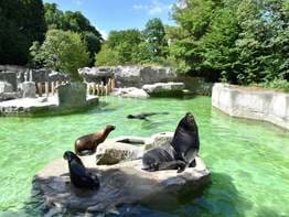 Explorez : Zoo de Munich | Munich | Appart-hôtels design, Locke